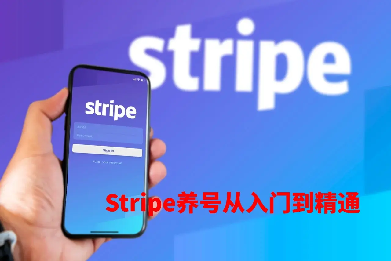 Stripe养号：新号冷启动到稳定提现全流程